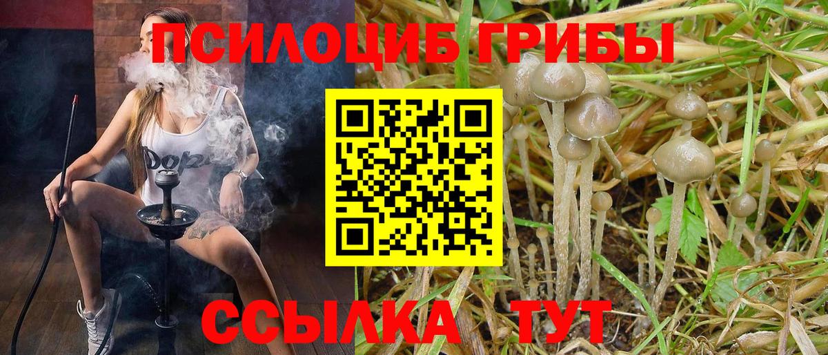 даркнет сайт  Галлюциногенные грибы Psilocybe  Вход с VPN  Шахты 