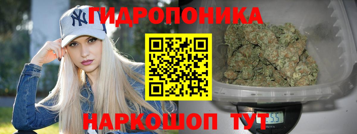 Шахты  Каннабис гибрид  Вход с VPN  Конопля LSD WEED  Марихуана конопля 